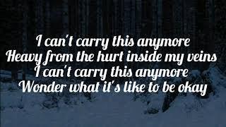 I Can't Carry This Anymore - Anson Seabra // Lyrics