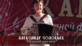 Александр Соловьев - Не ломай черемуху