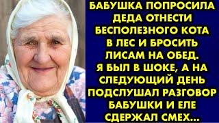 Бабушка попросила деда отнести бесполезного кота в лес и бросить лисам на обед. Я был в шоке, а на..