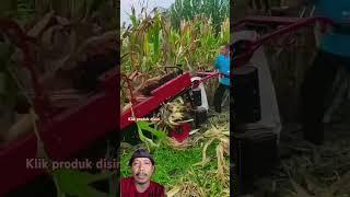 Creative Farmers Use Machines to Harvest Corn Super Fast #farming #agriculture #corn