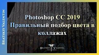 Photoshop CC 2019 Правильный подбор цвета в коллажах