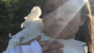 50-year-old caged bird is so happy to walk again