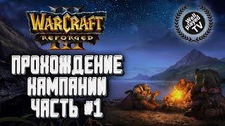 [СТРИМ] ПРОХОЖДЕНИЕ КАМПАНИИ: Исход орды и Падение Лордерна : Warcraft 3 Reforged