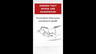 Horses That Spook Are Dangerous || Holistic Horseworks #holistichorse #horse #horsecare