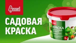 Краска для садовых деревьев