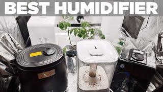 Best Grow Tent Humidifier - From Years of Growing - Controlling Humidity with Warm and Cool Mist