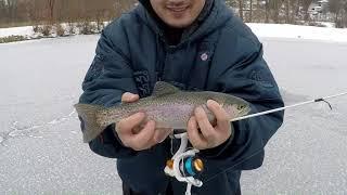 Early ice trout fishing. #trout