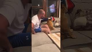 The Real Man of the House