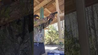 .45 auto  #therapy #shortsviral #fyp #viralvideo #glock #short #tactical #shorts #pew #gunshorts