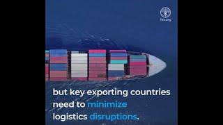 COVID-19 and the risk to food supply chains: How to respond?