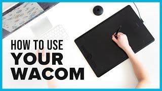 Wacom Tablet Tutorial & Best Setup for Graphic Designers