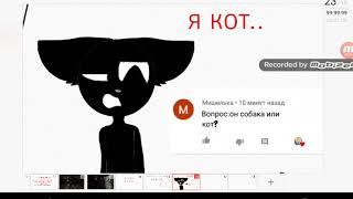 Спроси картун кэта#1