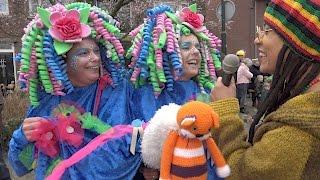 Carnavalsoptocht Oisterwijk 2017 samenvatting door Oisterwijk in Beeld