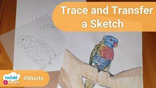 How to Transfer a Drawing with Tracing Paper | Trace and Transfer Images and Text #shorts #tracing