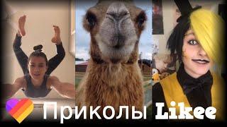 ЛУЧШИЕ ВИДЕО LIKEE | Приколы Likee | ЛАЙКИ | Лучшее Likee #178