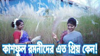 রমনীদের প্রিয় কাশফুল || কাশফুল রমনীদের কেন এত আকর্ষন করে! || vhumi travel || vhumi tv