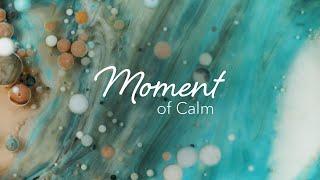 Moment of Calm | Transformation