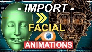 Import FACIAL Animations to BLENDER - (Rokoko)