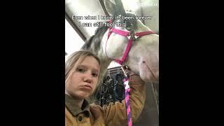 Story time at 250 subs!!!!