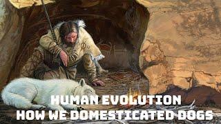 Human Evolution: Episode 1 - How We Domesticated Dogs