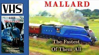 Mallard - The fastest of them all