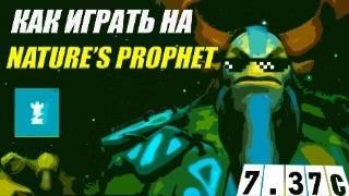 Разбор реплея(гайд) на ФУРИОНА от 9.2к игрока | ИЗИ ММР | 7.37с | Wolcodoom Nature's Prophet DOTA 2