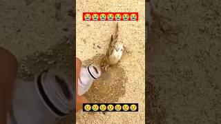  Kullun nafsin #shorts #viral #trending #shortvideo #youtubeshort #ytshorts #islamicstatus