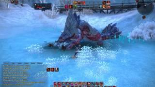 TERA lvl54 Warrior Gameplay - Icewalker Barsicore BAM Solo Walkthrough