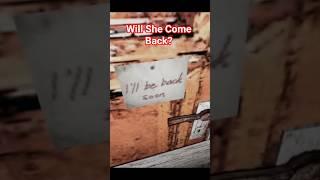She Said ‘I’ll Be Back Soon’… Then Granny Attacked granny's house | Horror Game Jumpscare Short