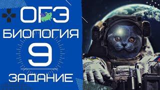 ОГЭ Биология 2020. Задание 9 Рохлов