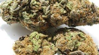 Marijuana Now Legal In The United States?