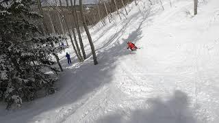 Beaver Creek skiing trees with kids