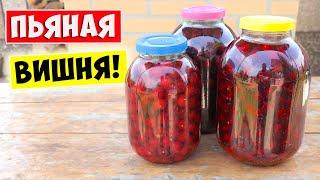 НАСТОЙКА НА ВИШНЕ  Простой Рецепт Вишневой настойки (наливки)