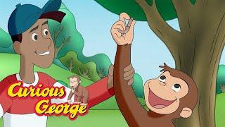 George's Worm Winner!   Curious George  Kids Cartoon  Kids Movies