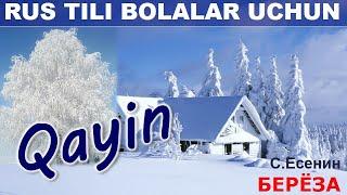 Qish haqida ruscha sherlar bolalar uchun. "Qayin" S.Yesenin.  UZRUSTILI