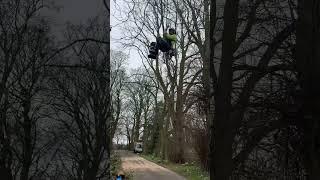Mini traverse  #treework #arborist #arblife