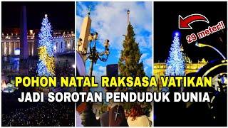 POHON NATAL VATIKAN jadi sorotan DUNIA‼️Terbesar dan begitu indah...