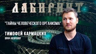 НУМЕРОЛОГИЯ | ЛАБИРИНТ | Тайны человеческого организма | Кармацких Тимофей