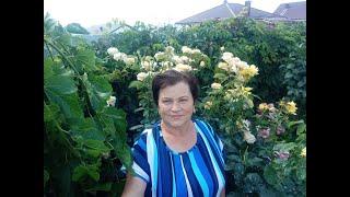 Часть 1.Приехала к детям на юг!