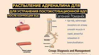 Распыление адреналина для устранения постэкстубационной обструкции ВДП после коррекции БЦС