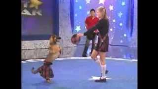 Pet Star - German Shepherd in a Kilt