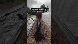 We cut our garden in half. Less = more