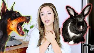 All of My Rabbit Care Mistakes 