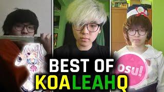 Best of KoaLeahq