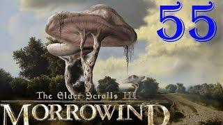 [55] TES III Morrowind  [Fullrest Repack v.1,4] Илуниби