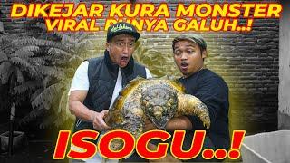 DIKEJAR KURA MONSTER GALUH, ISOGU..! PANIK NGACIIRR..!!