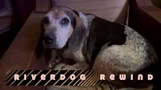 Riverdog Rewind  -Music at Riverdog