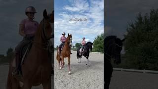 Nothing better  #horse #equestrain #dressage