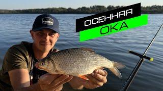 ФИДЕРНАЯ ЛОВЛЯ НА РЕКЕ / РЫБАЛКА НА ОКЕ / FROS FISHING