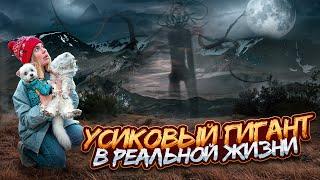УСИКОВЫЙ ГИГАНТ В РЕАЛЬНОЙ ЖИЗНИ | 24 ЧАСА В БАГАЖНИКЕ С КОТАМИ